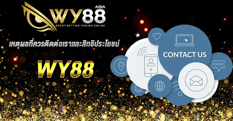 CONTACT US