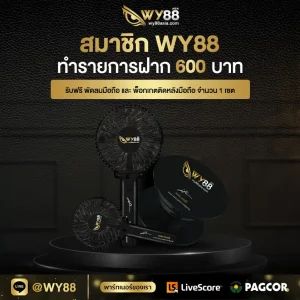 สมัคร WY88