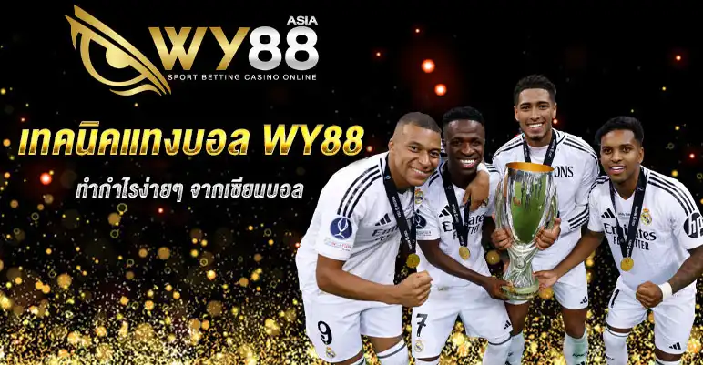 เทคนิคแทงบอล WY88