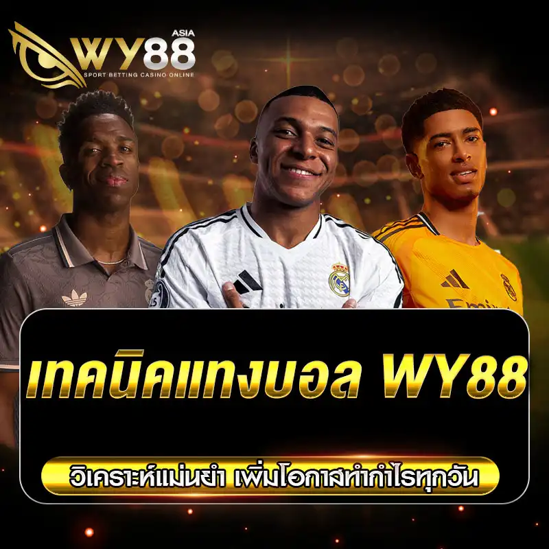 เทคนิคแทงบอล WY88