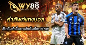 คำศัพท์แทงบอล WY88