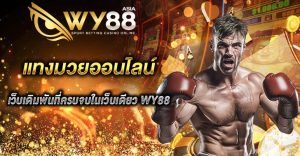 แทงมวย wy88