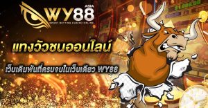 แทงวัวชน wy88