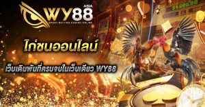 ไก่ชน wy88