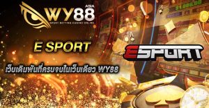 E-Sport WY88