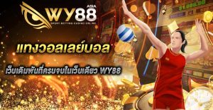 แทงวอลเลย์บอล WY88
