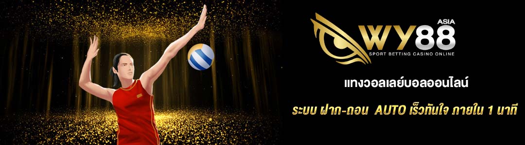 แทงวอลเลย์บอล WY88